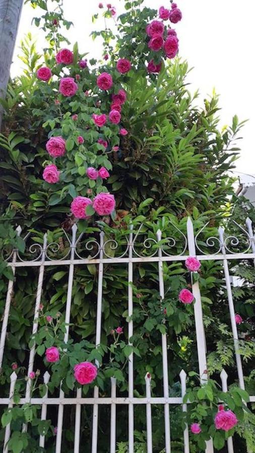 Doux Cocon De 50 M2 Paris-Le Raincy Apartment Bagian luar foto